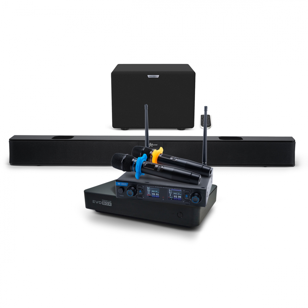 Hi-End караоке-система EVOBOX Premium + EvoSoundBar (саундбар с караоке) в Воткинске