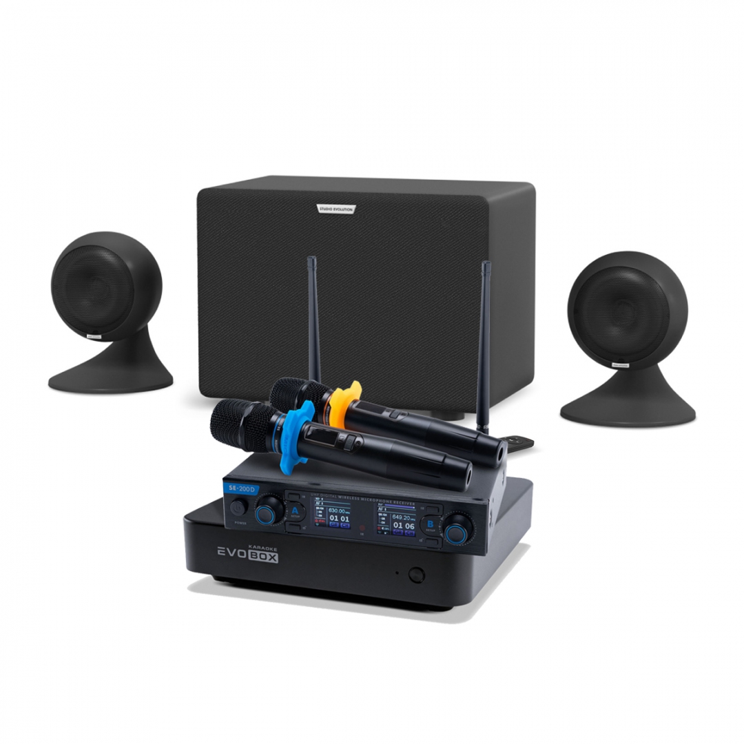 караоке-комплект EVOBOX + EvoSound Sphere 2.1 в Воткинске