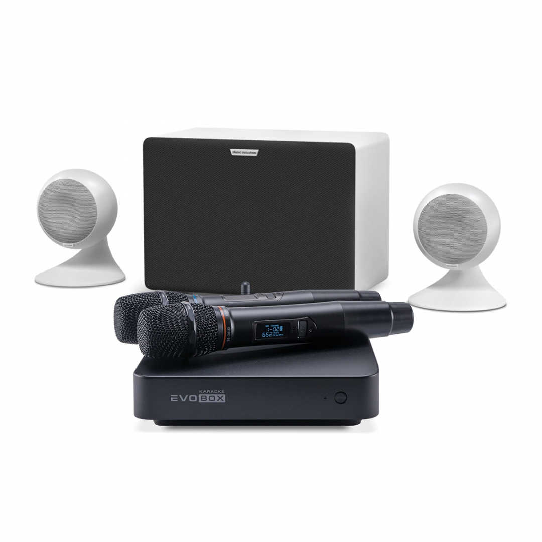 караоке-комплект EVOBOX Classic + EvoSound Sphere 2.1 в Воткинске