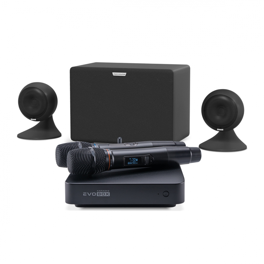 караоке-комплект EVOBOX Plus + EvoSound Sphere 2.1 в Воткинске