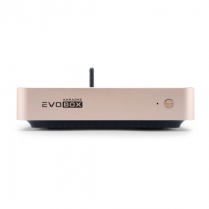 EVOBOX Plus караоке-система для дома в Воткинске