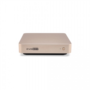 EVOBOX с микрофонами в Воткинске