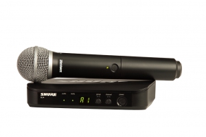 SHURE BLX24E/PG58 M17 вокальная радиосистема в Воткинске